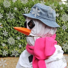 bonhomme neige costume accessoires nez yeux carotte charbon ruisselle 3d print model - Mito3D