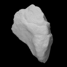 corail halysites analyse animal l'histoire mer fossile Marin tabuler archéologie disparu 3d print model - Mito3D