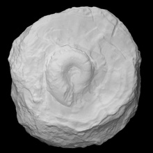 stromatoporoid Gastropode Scan Tier Meer Schale Marine Archäologie Weichtier 3d print model - Mito3D