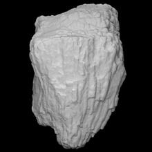 Koralle Entelophyllum Scan Tier Geschichte Meer Felsen Fossil Marine Archäologie Silur 3d print model - Mito3D