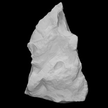 fish - death assemblage scan animals head stone water fossil group archeology devonian hemicyclaspis 3d print model - Mito3D