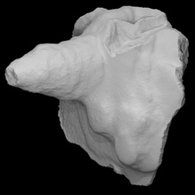 Stalagmit Scan Stein Fossil Höhle Geologie Grundmasse 3d print model - Mito3D