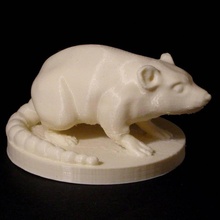 rato brinquedos jogos animal miniatura masmorras Dragões tampo mesa d dnd 3d print model - Mito3D