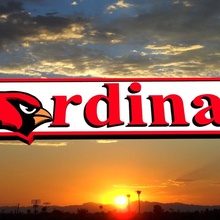 cardenales bandera Arizona arizonacardinals futbol 3d print model - Mito3D