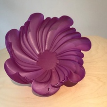 shell inspired bowl bowl shell vase