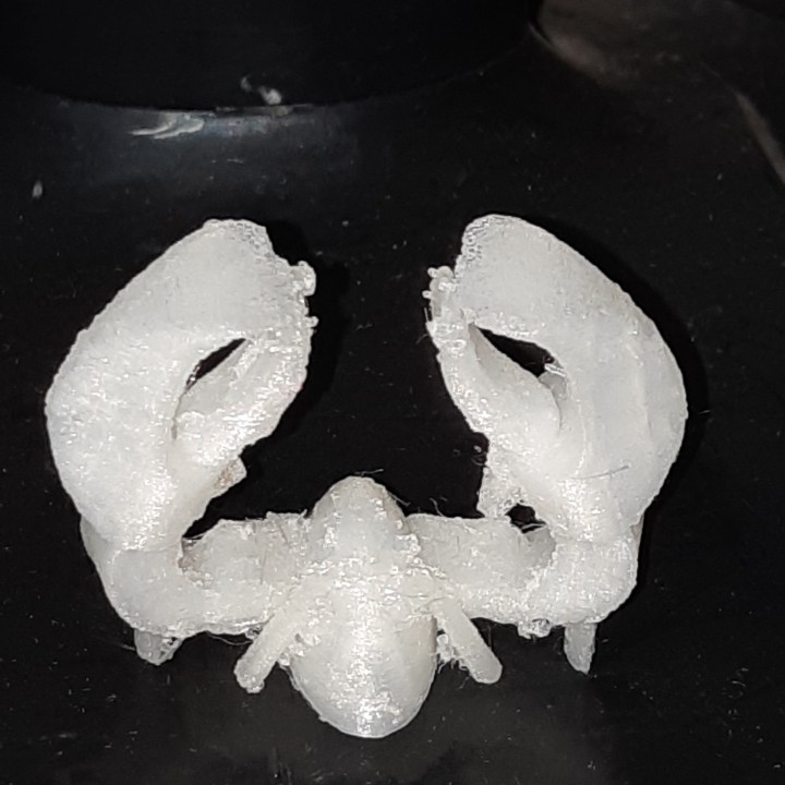 lobster nippers 3D print model - Mito3D
