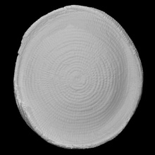 funeral cesta escanear cerámica contenedores ofrendas fibra 3d print model - Mito3D