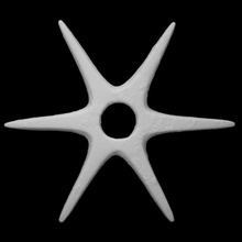 étoilé masse analyse étoile arme forme cuivre 3d print model - Mito3D