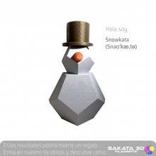 snowkata 3d Sakata filamentos 3d print model - Mito3D