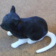 cat smooth finish animals kitten pet 3d print model - Mito3D
