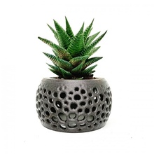 pianta pentola vaso cactus cancelliere stefanoskantzilaris plantpod 3d print model - Mito3D