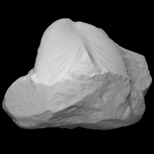 bivalvo retroceramus longitud escanear animal cáscara Roca marina extinto aqueología 3d print model - Mito3D