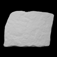 ginkgo foglia fossile scansione pianta piatto roccia sollievo 3d print model - Mito3D