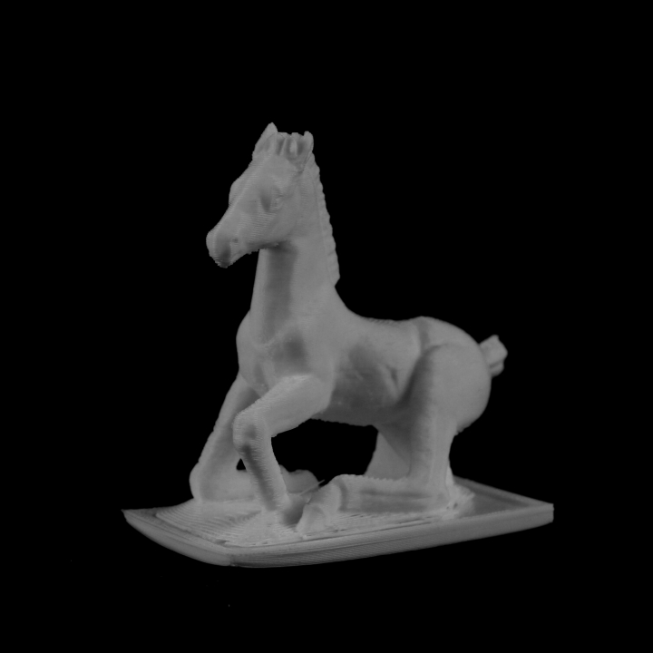 caballo parc valencia lausana scan 3D print model - Mito3D