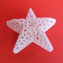 Voronoi star Noel dekorasyon Sindoh Fixmydeco 3d print model - Mito3D