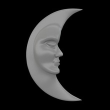moon & garden 3d print model - Mito3D