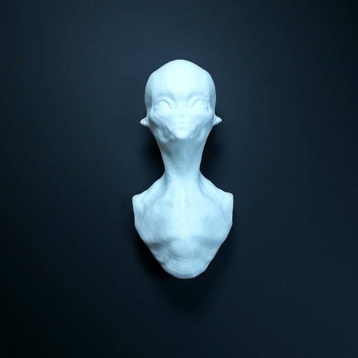 estrangeiro arte escultura 3D print model - Mito3D