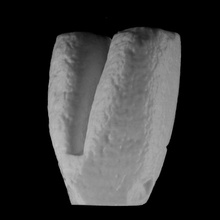 megalith quai branly paris scan 3d print model - Mito3D