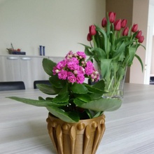 flower pot & garden decoration green flowerpot 3d print model - Mito3D