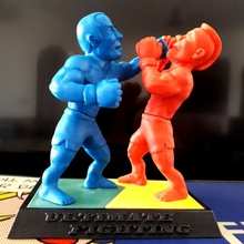 ultimate fighting & garden fight fighter boxe ufc boxers fighters 3d print model - Mito3D