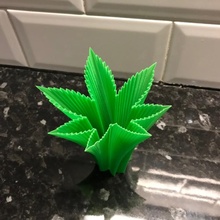 weed vase fun pot marijuana hemp 3d print model - Mito3D