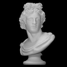 bust apollo belvedere scan face figure sculpture statue male 3d print model - Mito3D