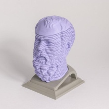 Sócrates Springo brinquedos jogos fracasso cabeça modelo escultura Primavera estátua masculino furtivo 3d print model - Mito3D