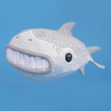 großartig breit Hai abgelehnt Tiere Tier Karikatur Zahl Fisch Modell Spielzeug Weiß Charakter 3d print model - Mito3D