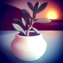 planter & garden interior pot 3d print model - Mito3D