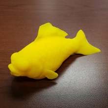 thatjoshguy's dead goldfish fish zbrush sculptris 3d print model - Mito3D
