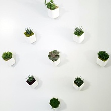 Mauer Pflanzer Blume hängend Pflanze Wandpflanzer Leuchter 3d print model - Mito3D