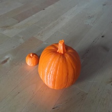 pumpkin 3d scan & garden halloween realistic 3dscan single extrusion hires 3d print model - Mito3D