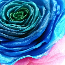 realistisch Rose Blume Kunst Dekoration Geschenk Liebe Valentinstag Proto Teigwaren Pasta iprintwithpasta 3d print model - Mito3D