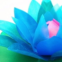 water lily hidden secret flower box gift love valentine blossom valentinesday valentines day container opening waterlily 3d print model - Mito3D