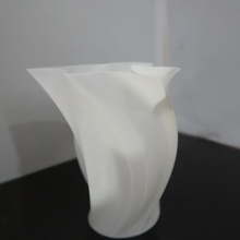 magnolia vase organic spiral 3d print model - Mito3D