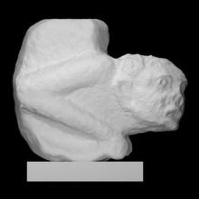 humano protoma cartuche Varredura arquitetura escultura Itália pisa 3d print model - Mito3D