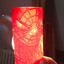 Spider Lithophan Garten Superheld Fan Art 3d print model - Mito3D