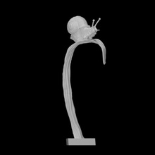 bronze snail statue scan grass island vasilevskiy 3d print model - Mito3D