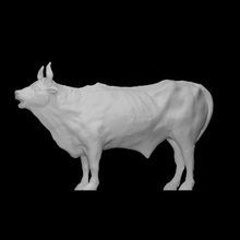 bellowing bull scan bronze artus-quellinus-the-elder 3d print model - Mito3D