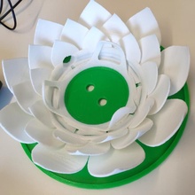google mini lotus gadgets & electronics flower googlehomemini sindoh smartassistant3d 3d print model - Mito3D