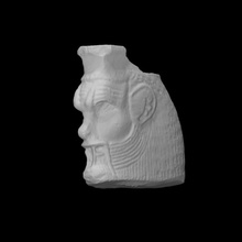 flat head scan 3d print model - Mito3D