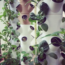 modular hydroponic functional gardening hydroponics urbangardening farming 3d print model - Mito3D