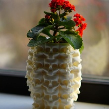 vaso caveiras flor caneta copo lápis Panela crânio plantador 3d print model - Mito3D