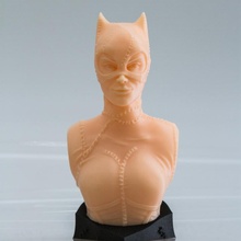 Katzenfrau Büste Ventilator Kunst Batman dc Fan Art 3 3d print model - Mito3D