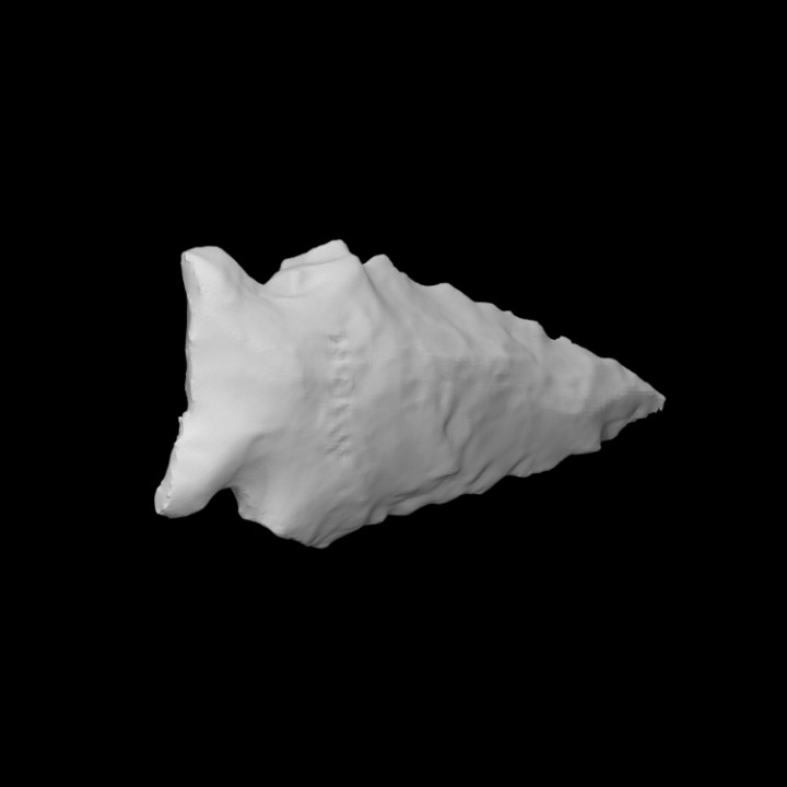 projectile point scan weapon archaeology indiana anthropology chert 3D print model - Mito3D