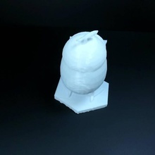 Humpty sujo tinkercad 3d print model - Mito3D