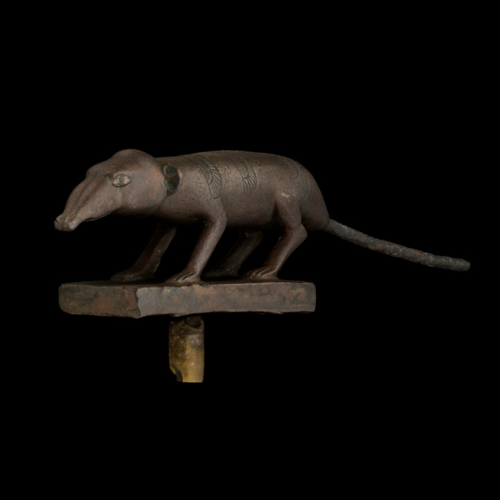 shrew scan animal egypt falcon sculpture hawk rodent vulture late-period letopolis 3D print model - Mito3D