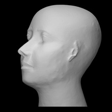 réserve tête analyse Egypte portrait sculpture femme calcaire Gizeh old kingdom Khufu reserve head 3d print model - Mito3D