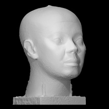 reserve head scan bust egypt sculpture limestone old-kingdom khafra khufu dynasty-4 reserve-head 3d print model - Mito3D