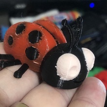lady ladybug toys & games tinkercad tinkercharacters backyardfriends 3d print model - Mito3D